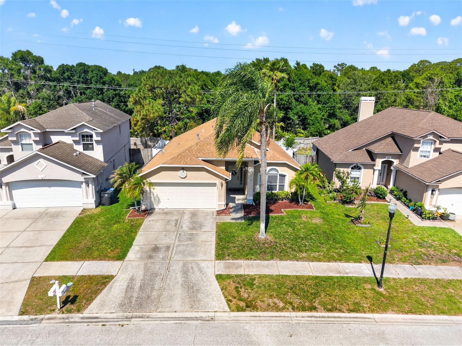 8525 Heyward Road Tampa FL 33635 TB8496896 image36