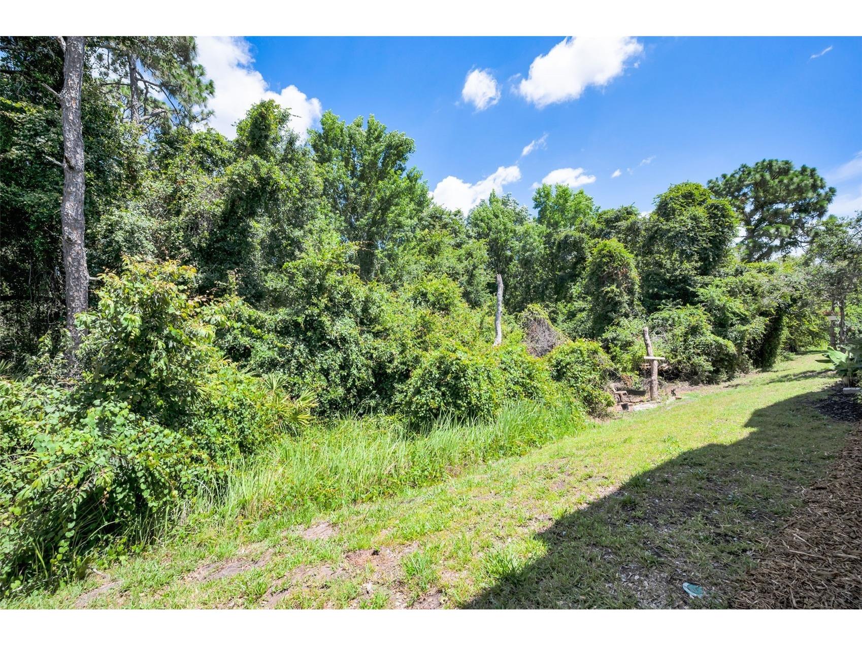 8525 Shallow Creek New Port Richey FL 34653 TB8521508 image46
