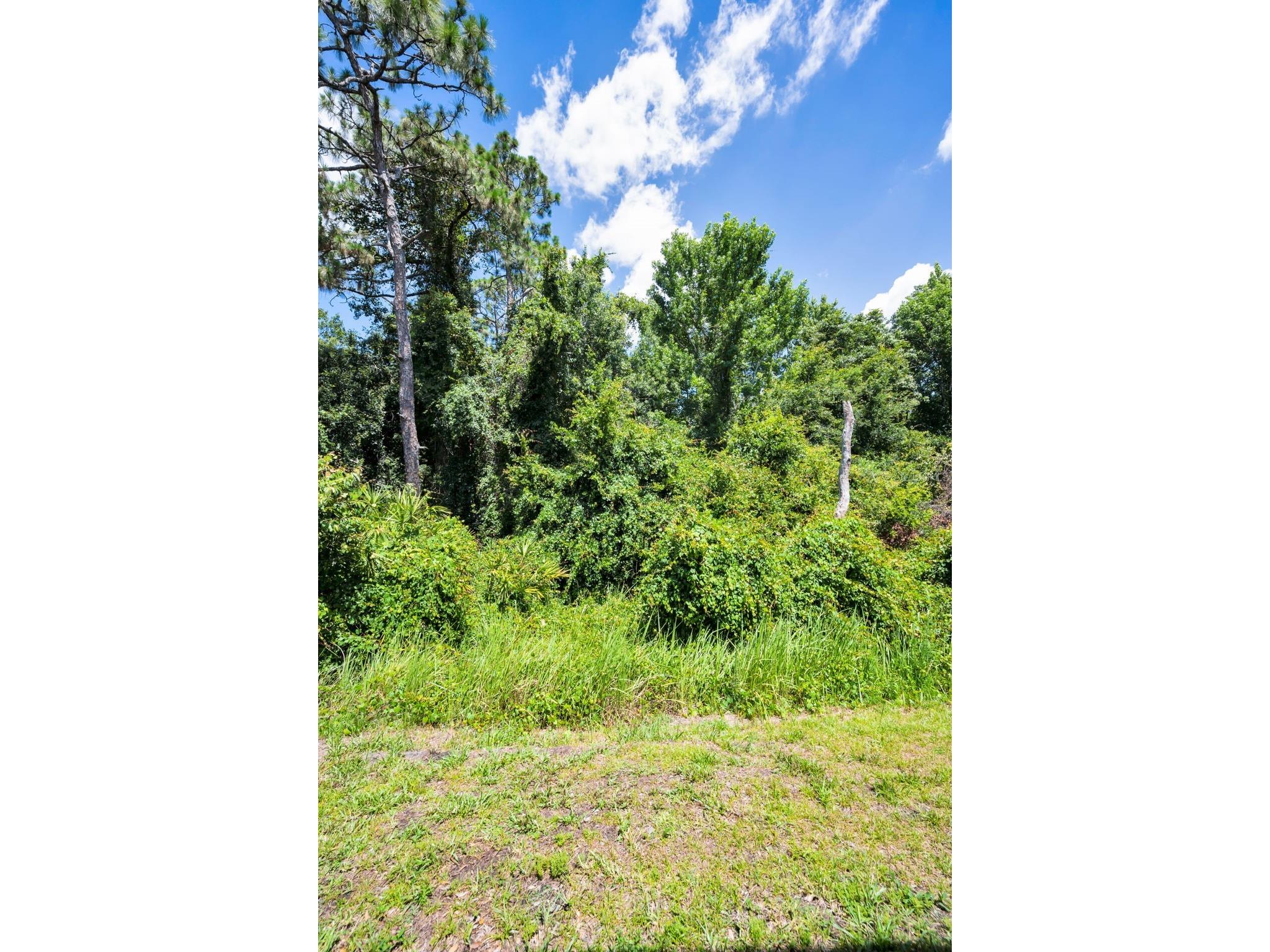 8525 Shallow Creek New Port Richey FL 34653 TB8521508 image47