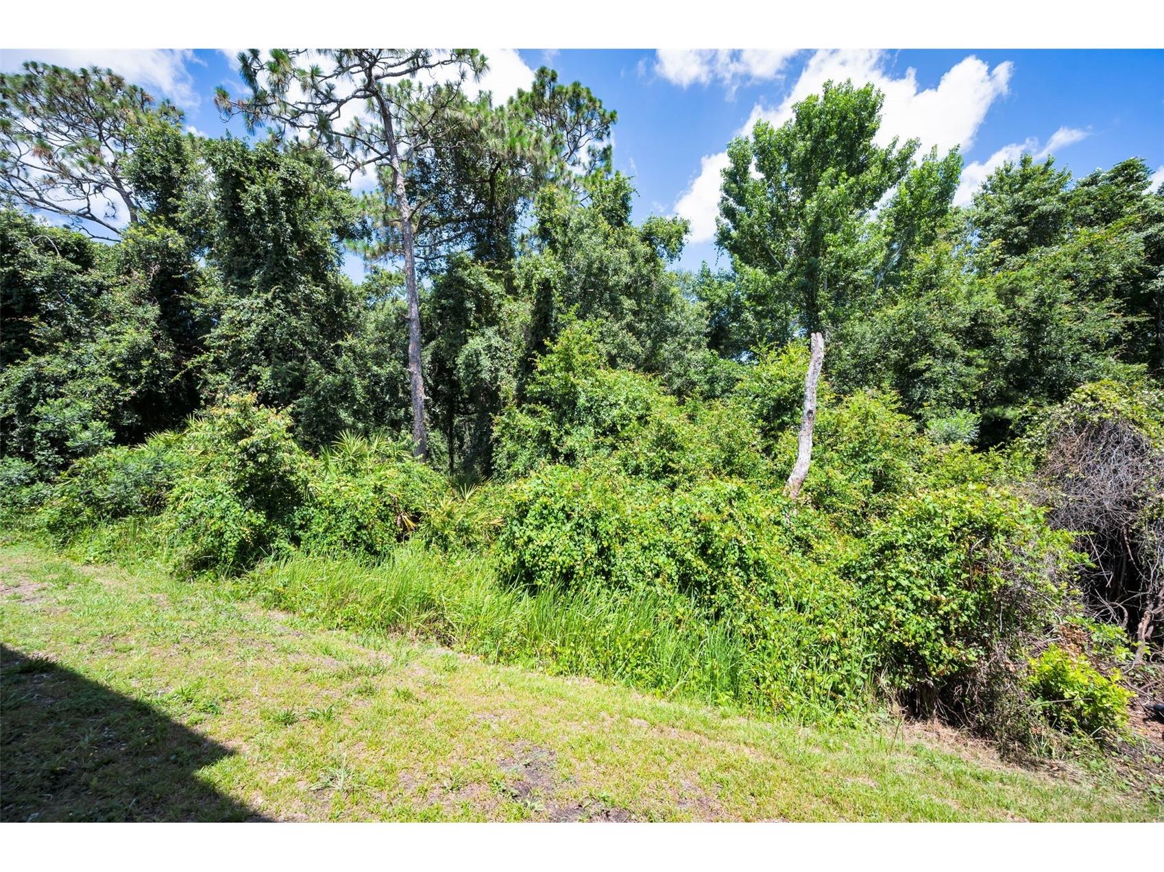 8525 Shallow Creek New Port Richey FL 34653 TB8521508 image48