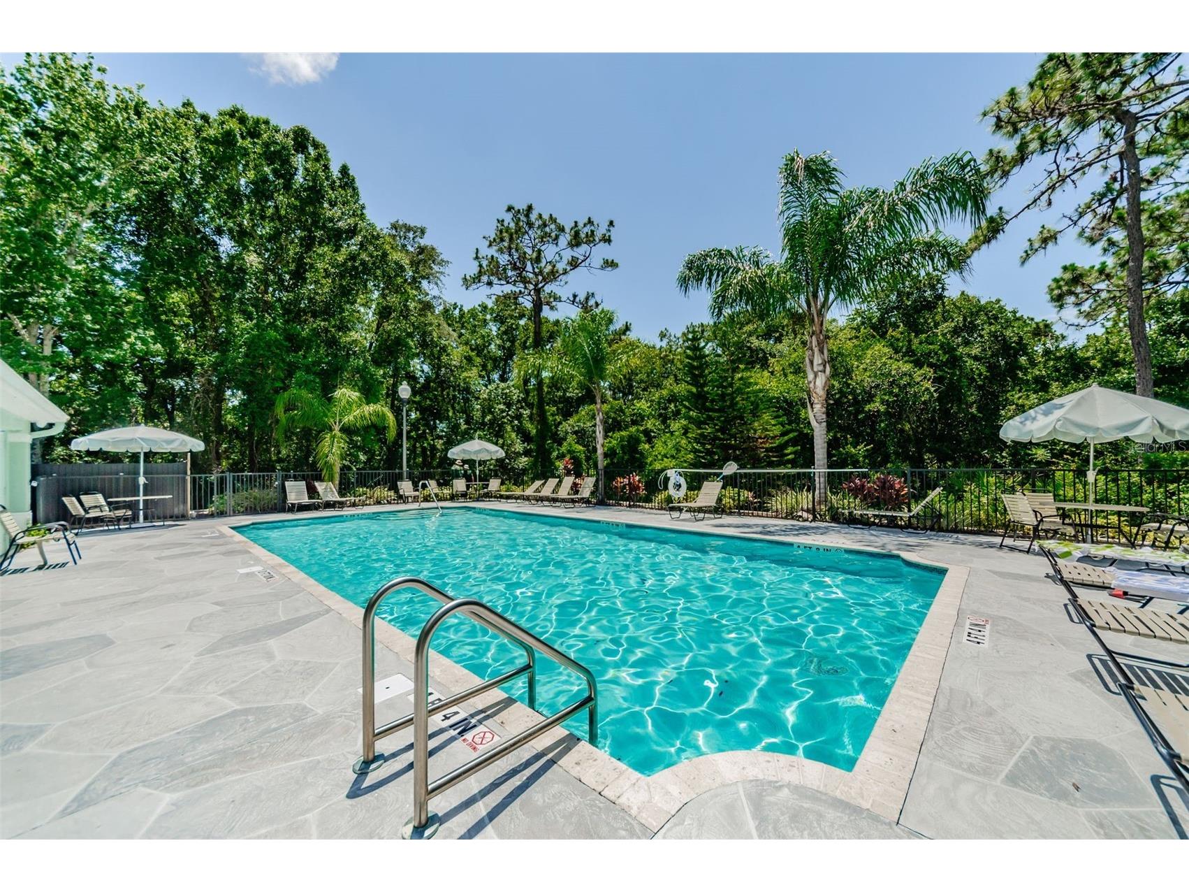 8525 Shallow Creek New Port Richey FL 34653 TB8521508 image55