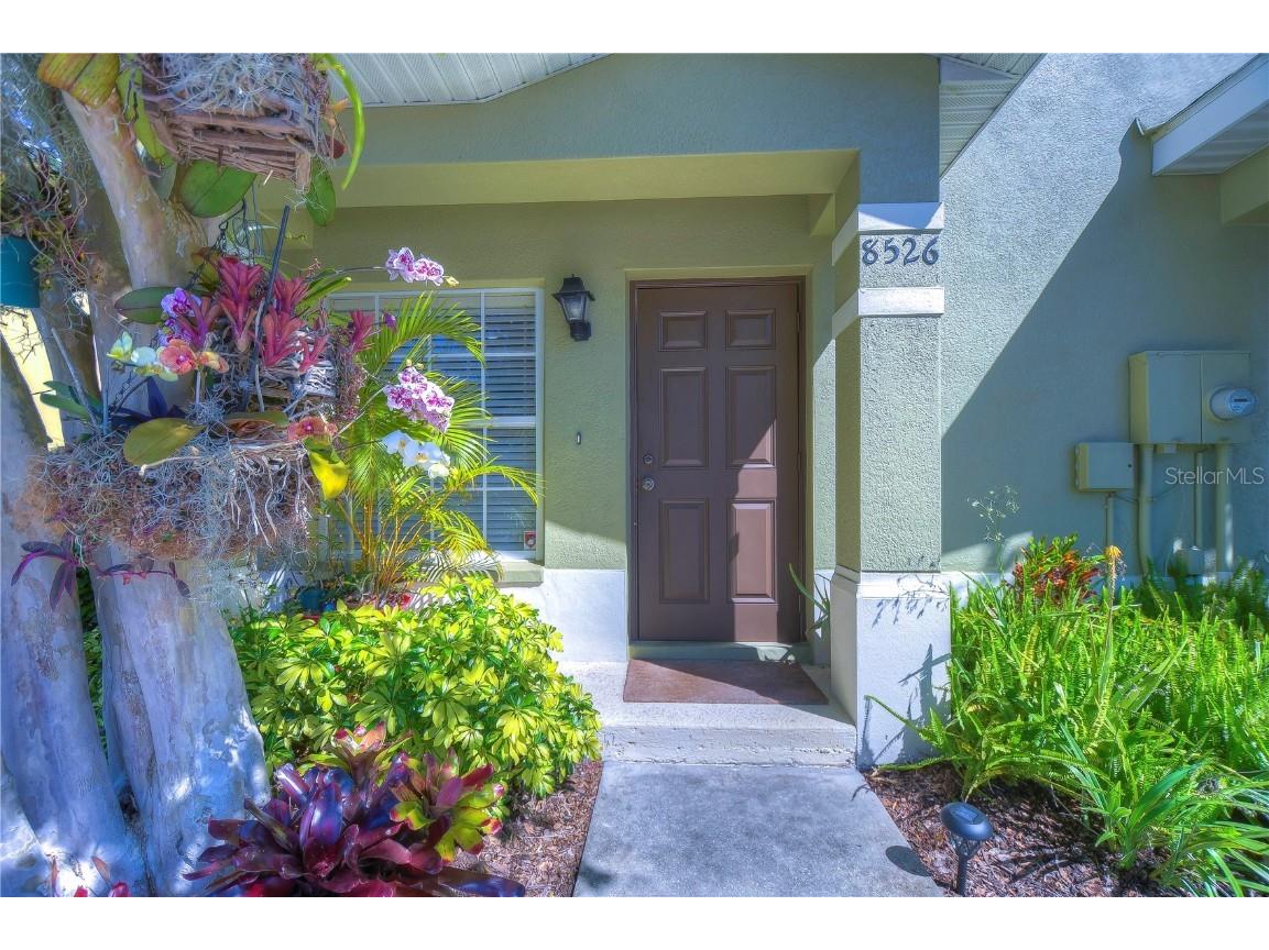 8526 Brushleaf Way Tampa FL 33647 T3521132 image1
