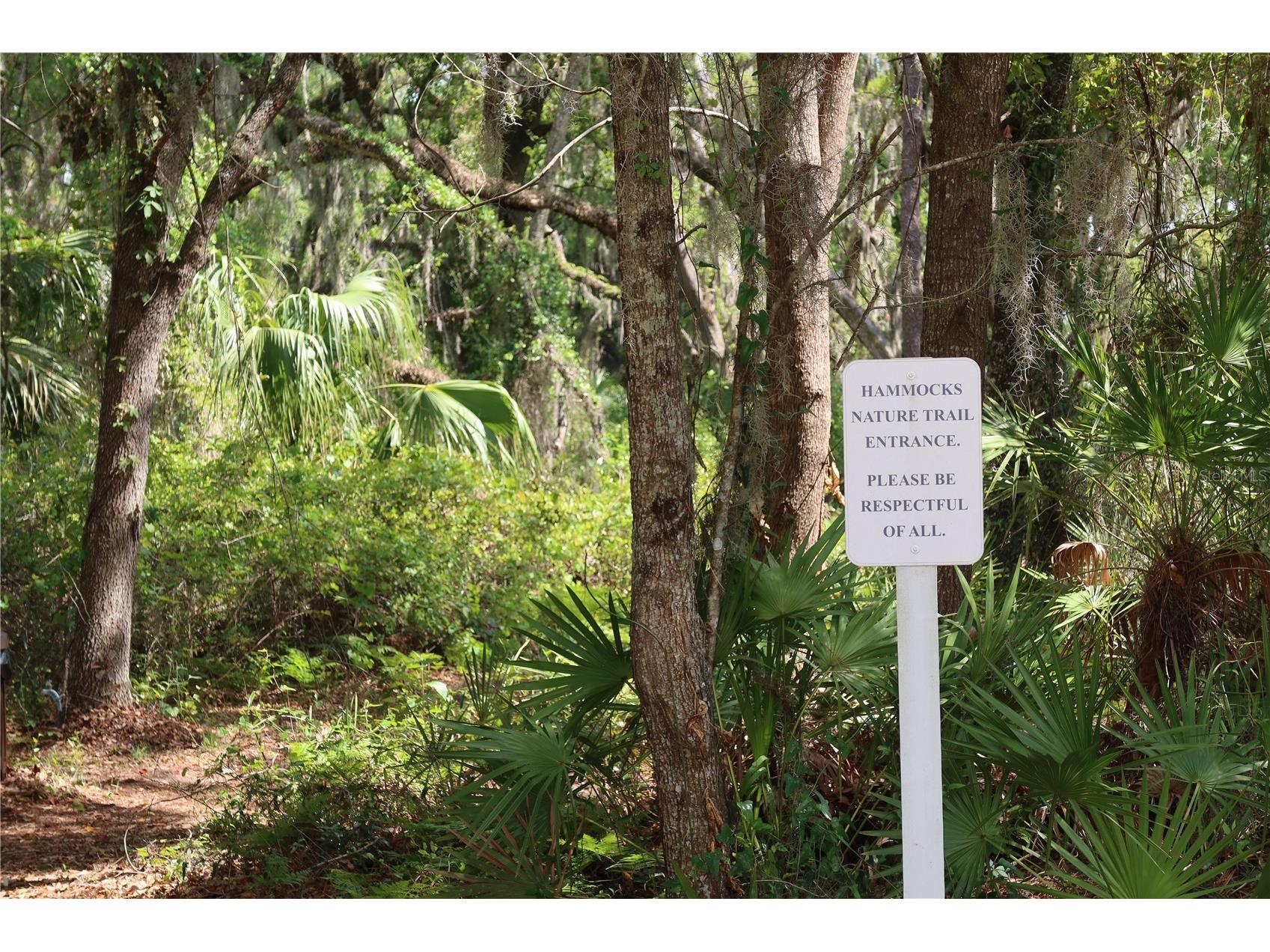 8526 Sandpiper Ridge Avenue Tampa FL 33647 W7884317 image38