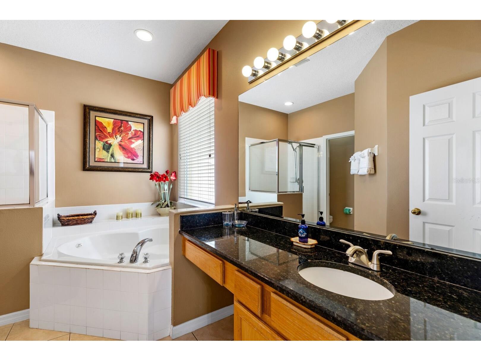 8526 Sunrise Key Drive Kissimmee FL 34747 S5132866 image25