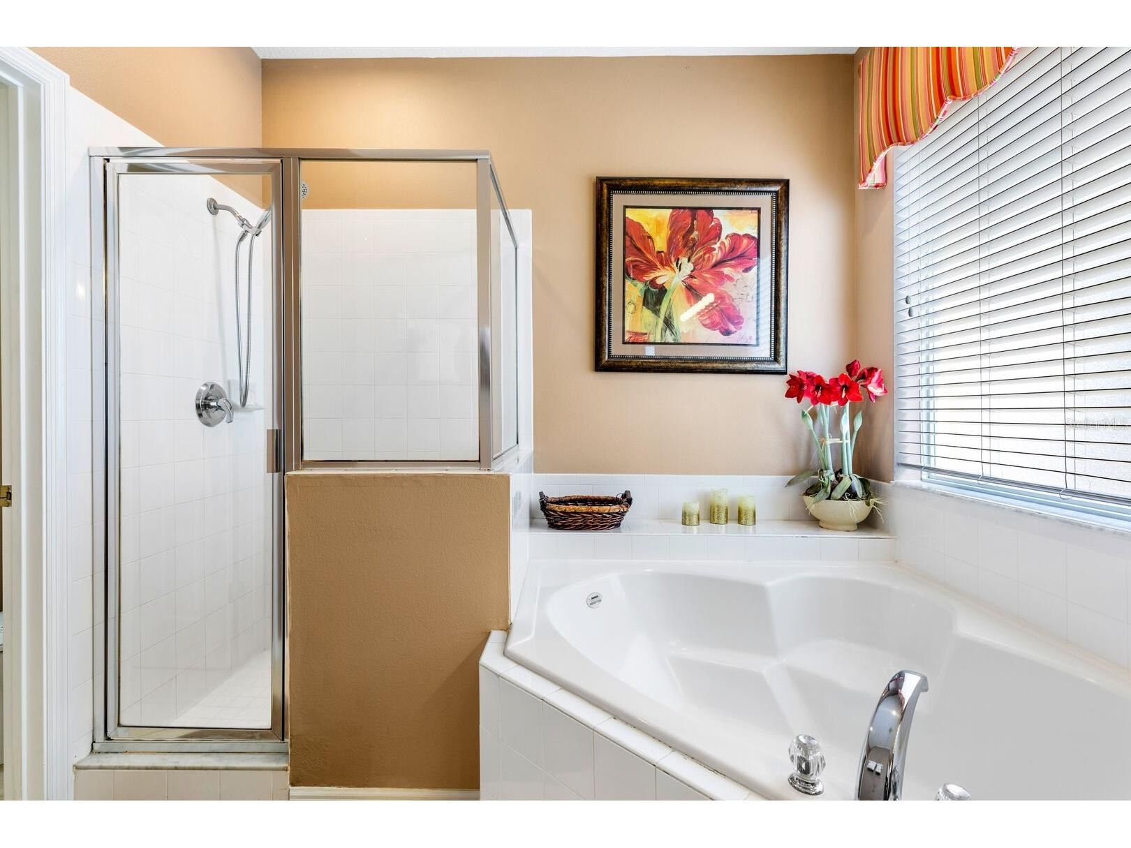 8526 Sunrise Key Drive Kissimmee FL 34747 S5132866 image26