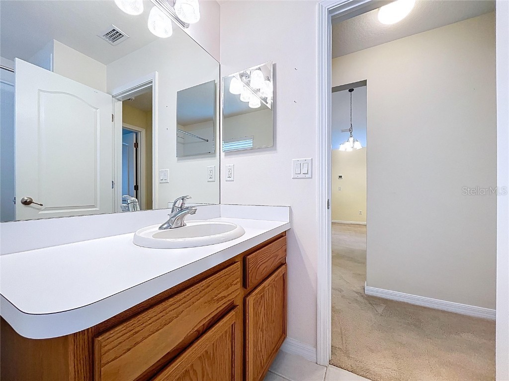 8527 Carriage Pointe Drive Gibsonton FL 33534 TB8441652 image23