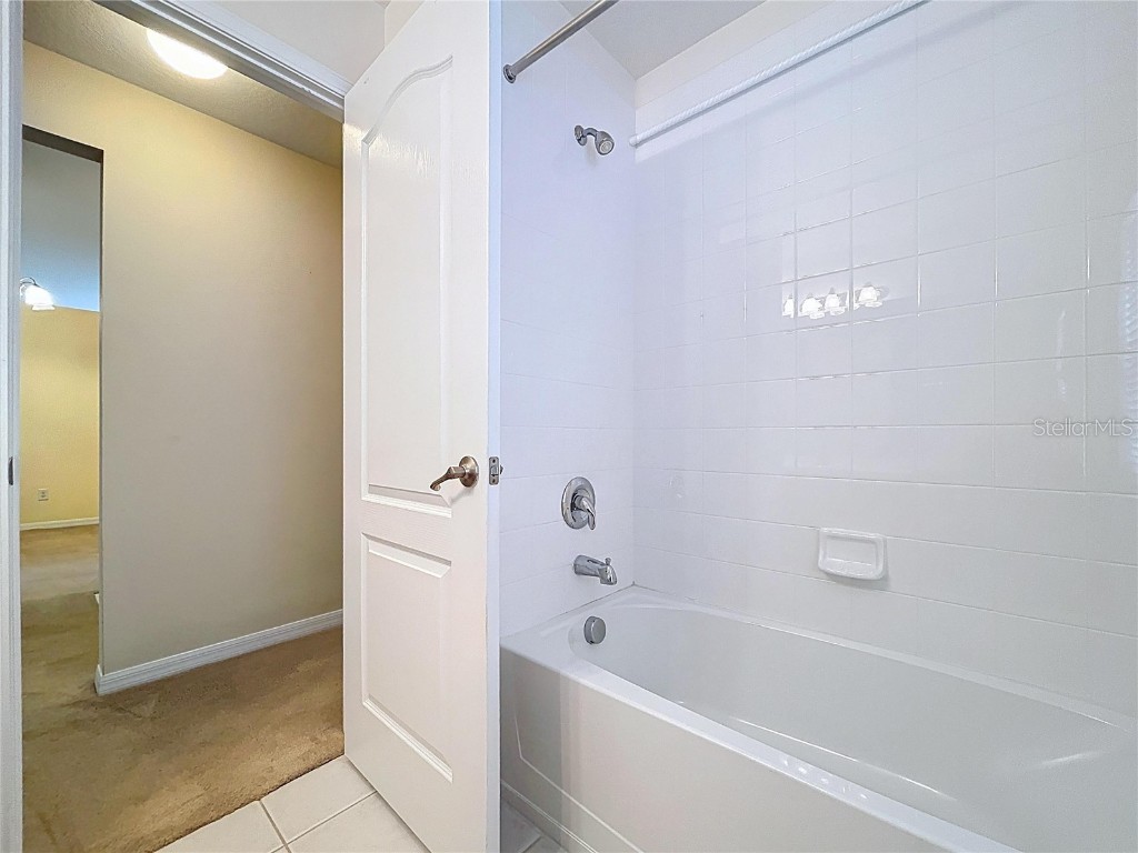 8527 Carriage Pointe Drive Gibsonton FL 33534 TB8441652 image25