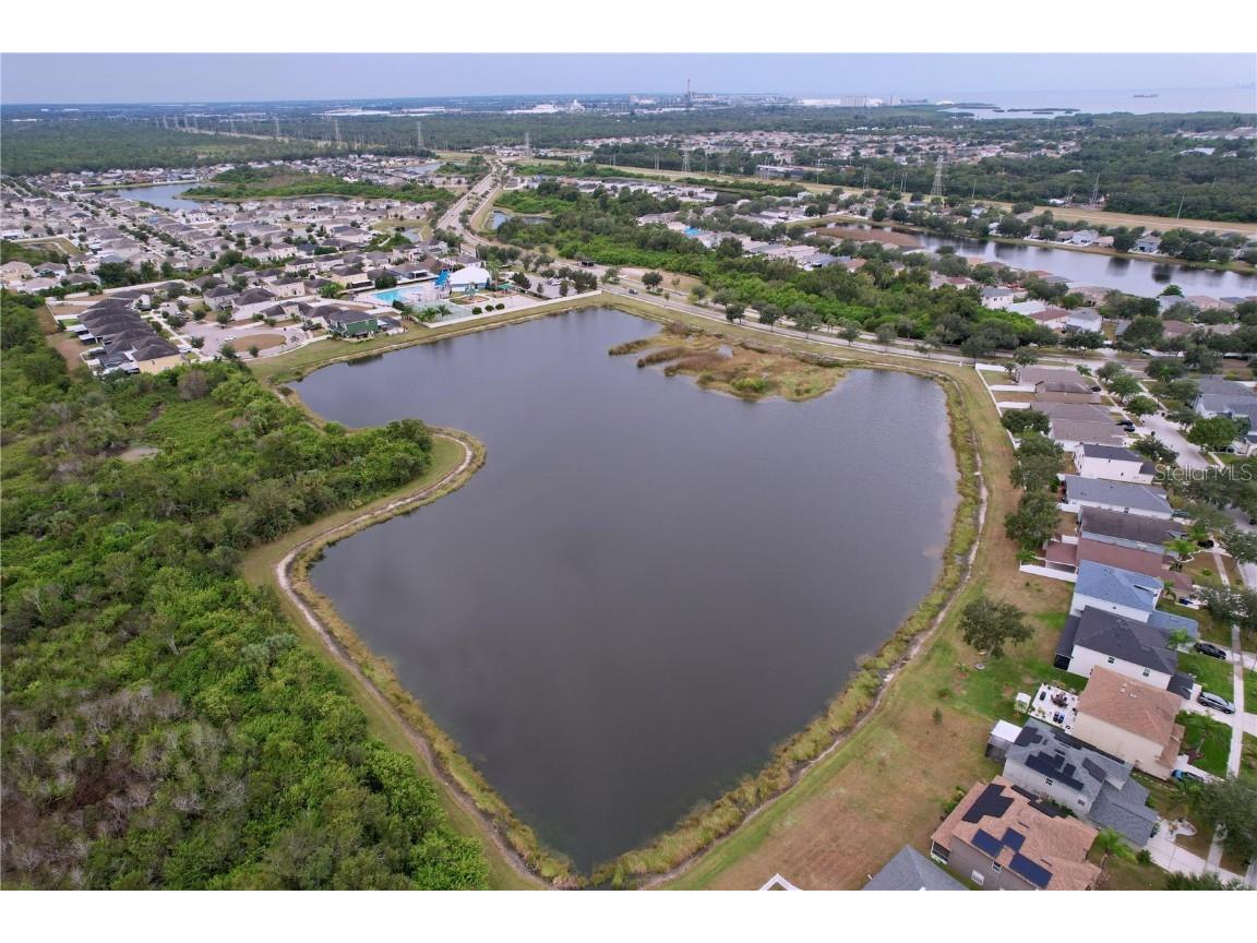 8527 Carriage Pointe Drive Gibsonton FL 33534 TB8441652 image38