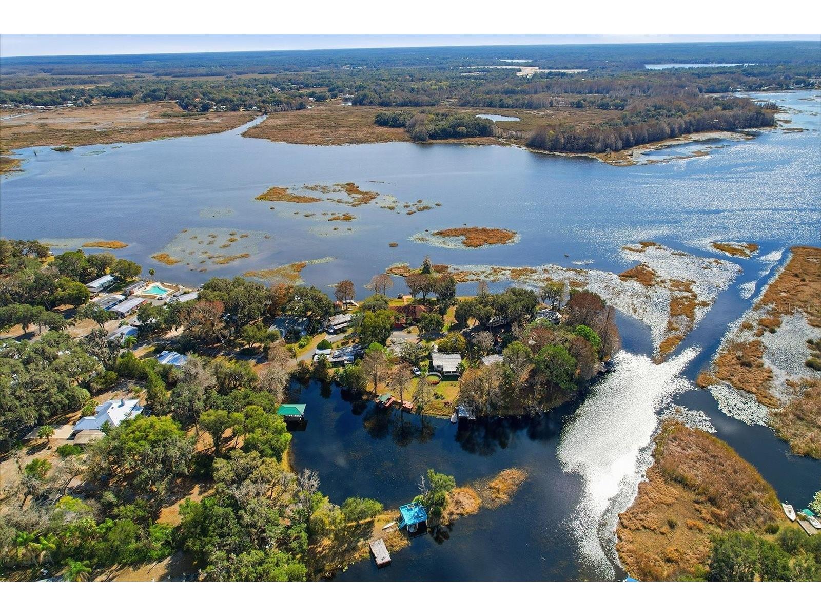 8528 E Aquarius Drive Inverness FL 34450 - LAKE TSALA APOPKA TB8476863 image5