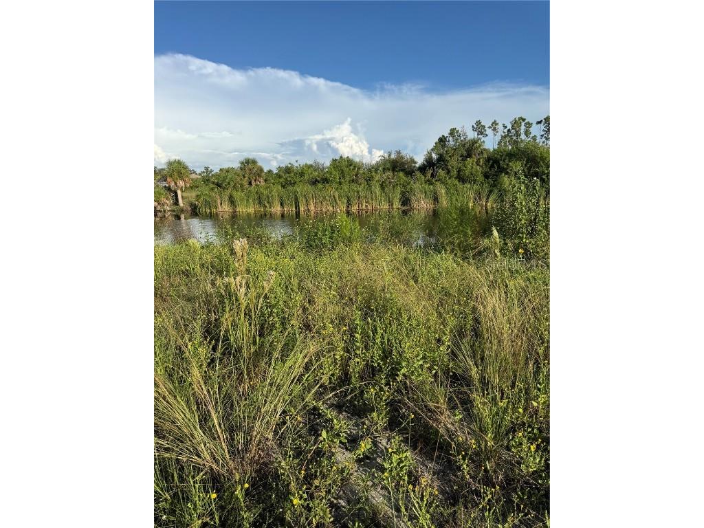 8528 Santa Cruz Drive Port Charlotte FL 33981 - SANTA CRUZ WATERWAY C7513705 image10