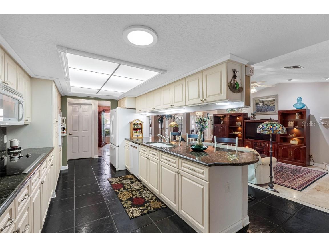 8528 Thrasher Court New Port Richey FL 34654 TB8434286 image22