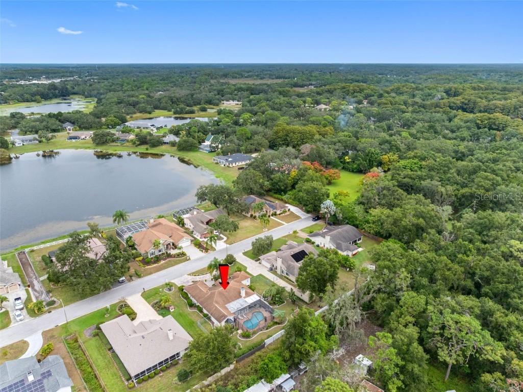 8528 Thrasher Court New Port Richey FL 34654 TB8434286 image55