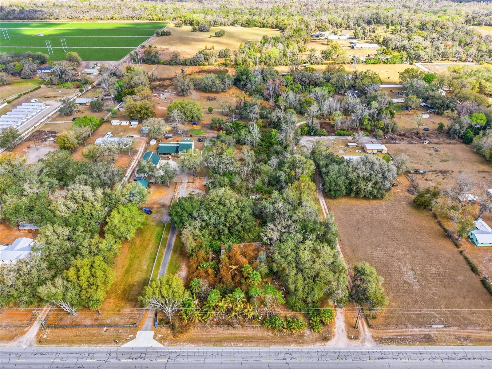 8529 Lithia Pinecrest Road Lithia FL 33547 TB8483929 image10