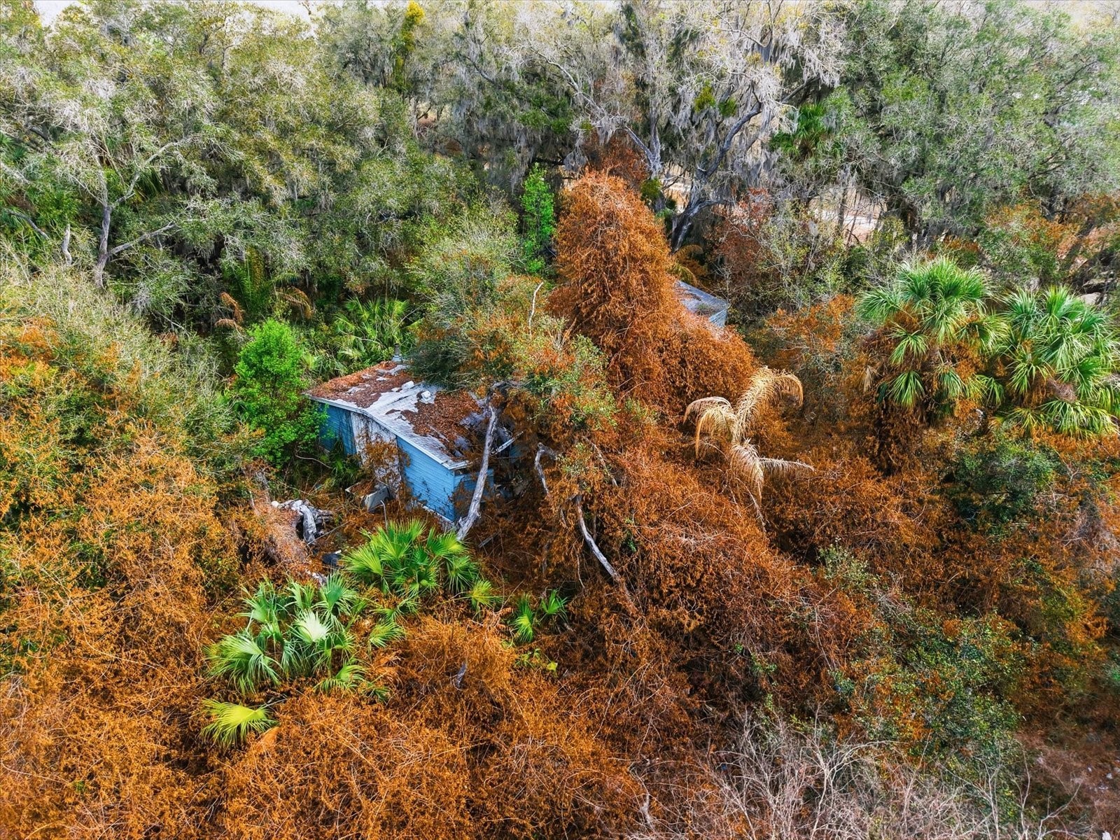 8529 Lithia Pinecrest Road Lithia FL 33547 TB8483929 image11