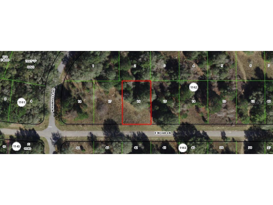 853 E Noah Lane Citrus Springs FL 34434 OM653499 image1
