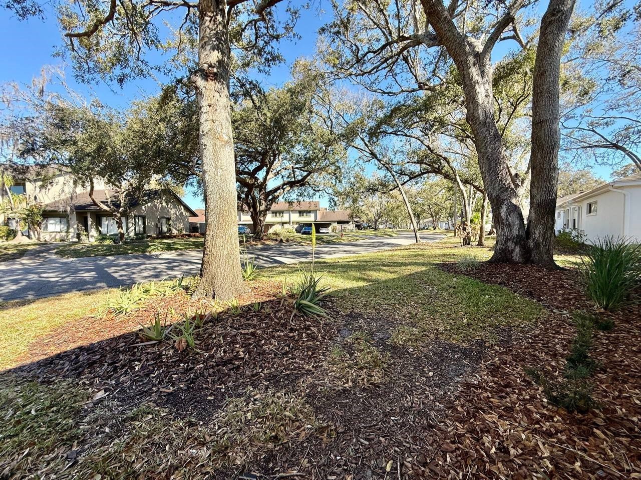 8530 Alexandra Arbor Lane Temple Terrace FL 33637 TB8480513 image30