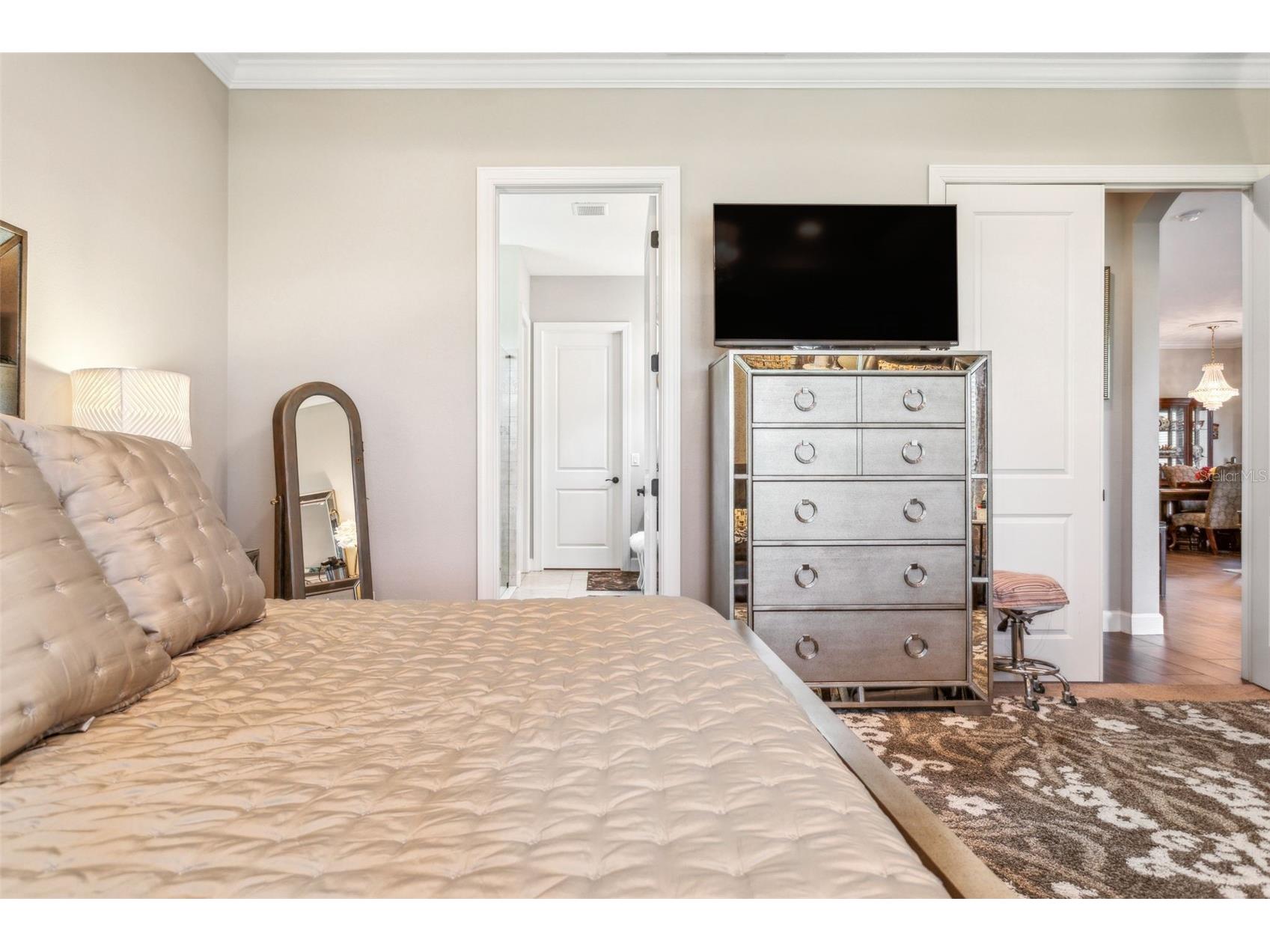 8530 Grand Alberato Road Tampa FL 33647 TB8467407 image36