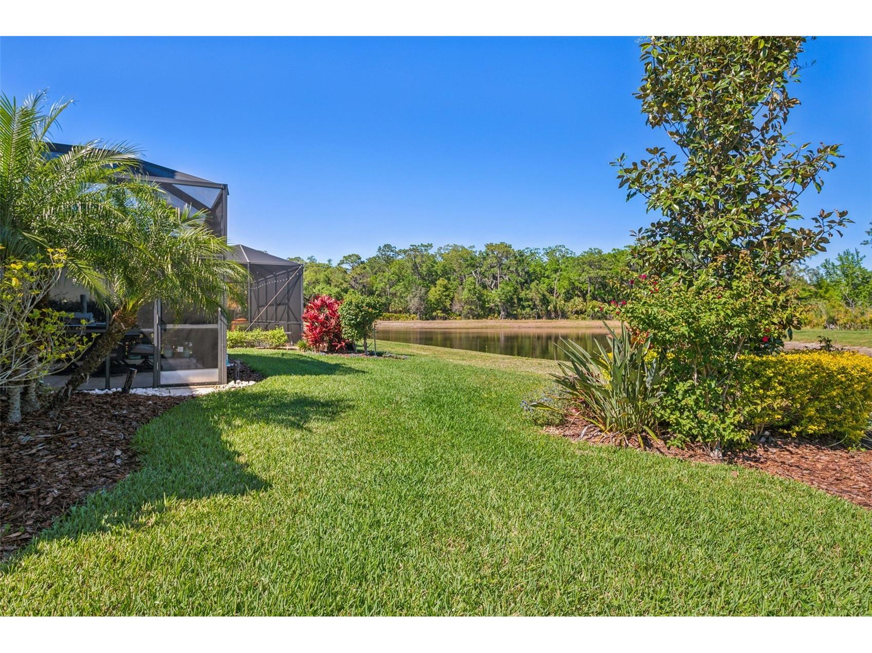 8530 Grand Alberato Road Tampa FL 33647 TB8467407 image45