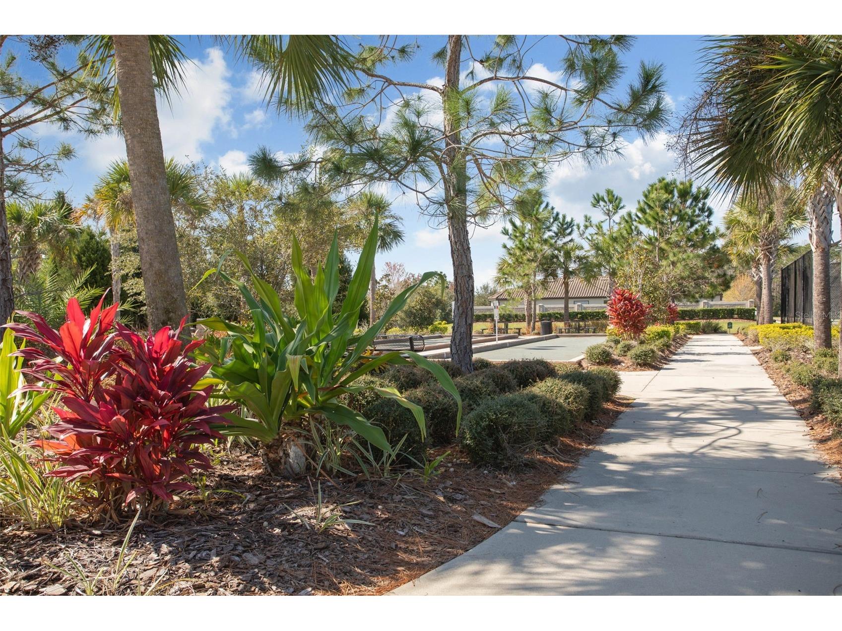 8530 Grand Alberato Road Tampa FL 33647 TB8467407 image64