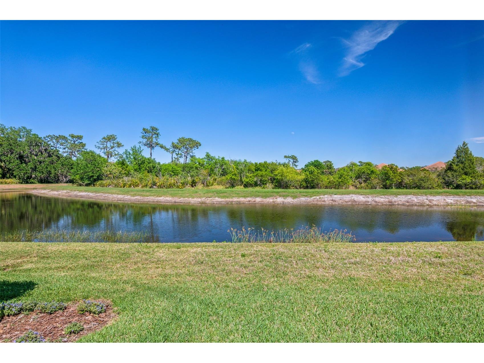 8530 Grand Alberato Road Tampa FL 33647 TB8502430 image45