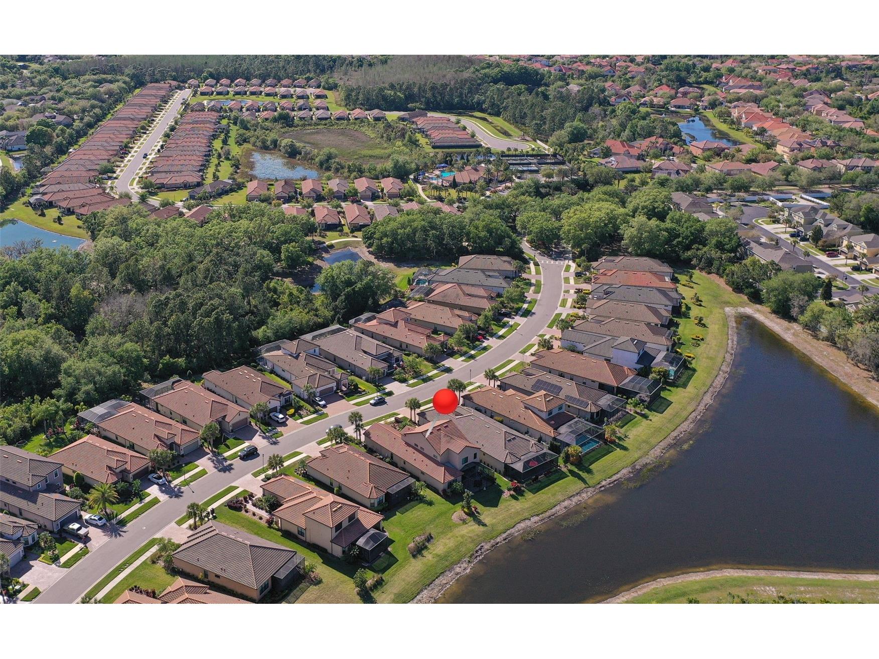 8530 Grand Alberato Road Tampa FL 33647 TB8502430 image51