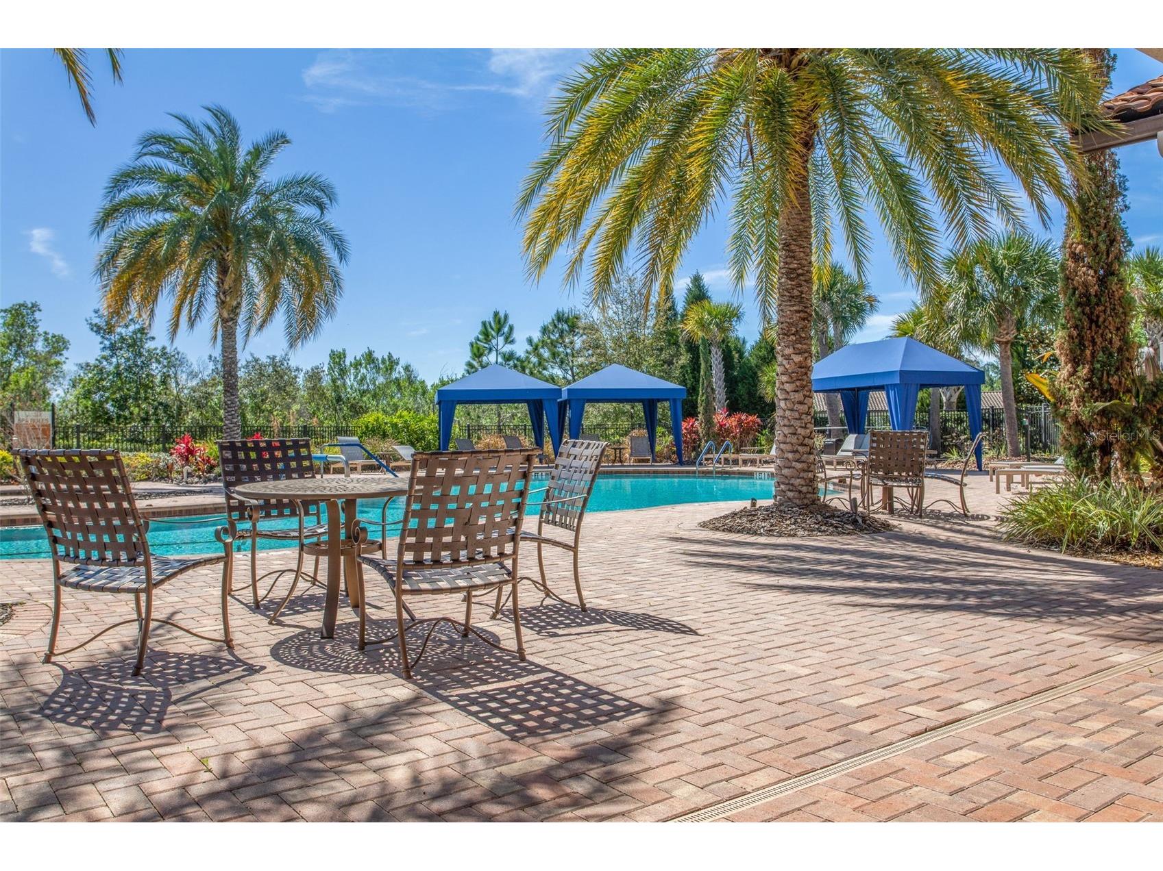 8530 Grand Alberato Road Tampa FL 33647 TB8502430 image61