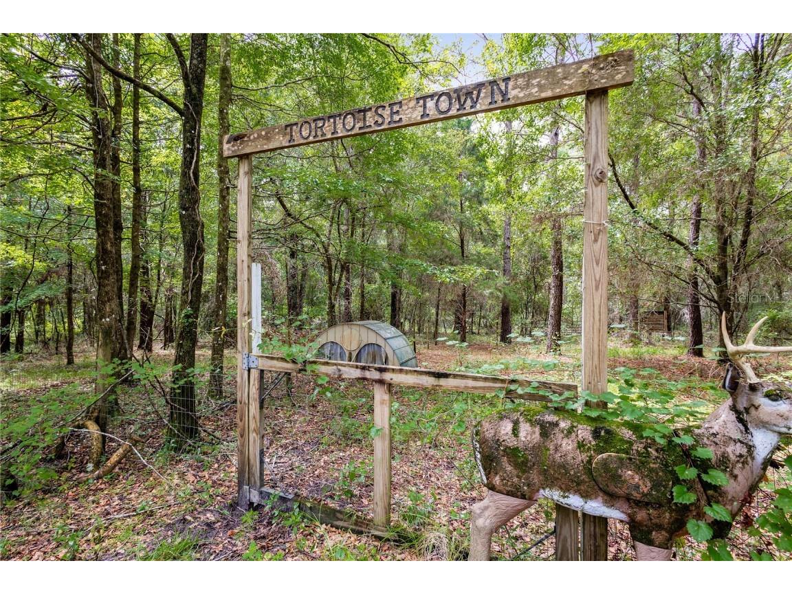 8530 NE 160th Avenue Williston FL 32696 OM705300 image36