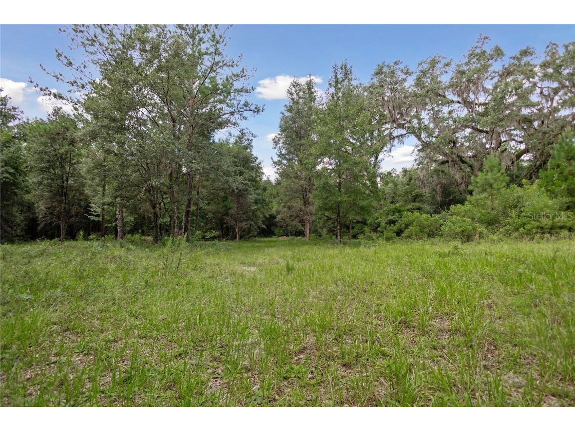 8530 NE 160th Avenue Williston FL 32696 OM705300 image38
