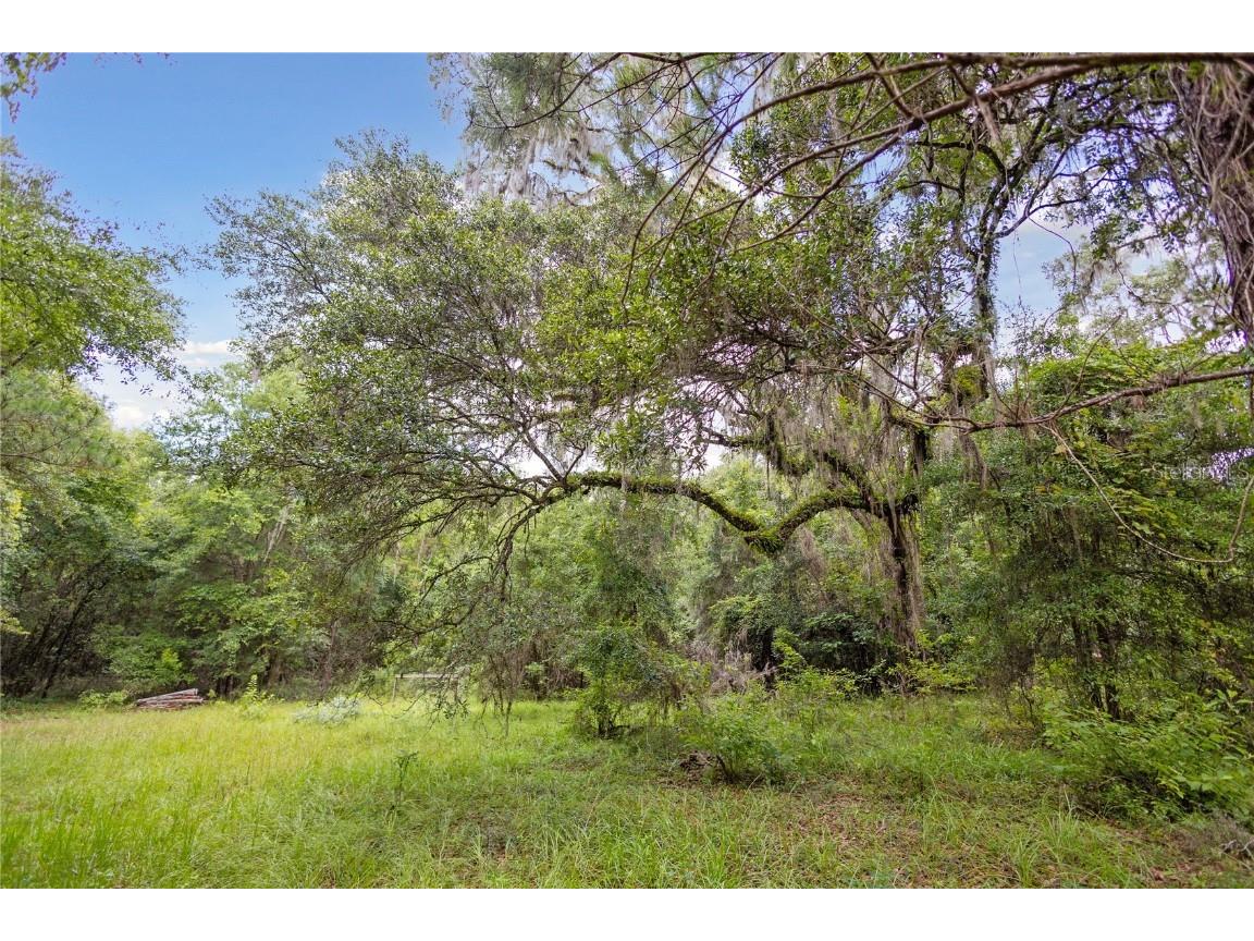 8530 NE 160th Avenue Williston FL 32696 OM705300 image39