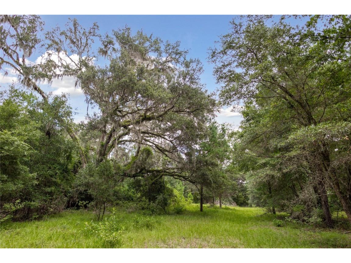 8530 NE 160th Avenue Williston FL 32696 OM705300 image40