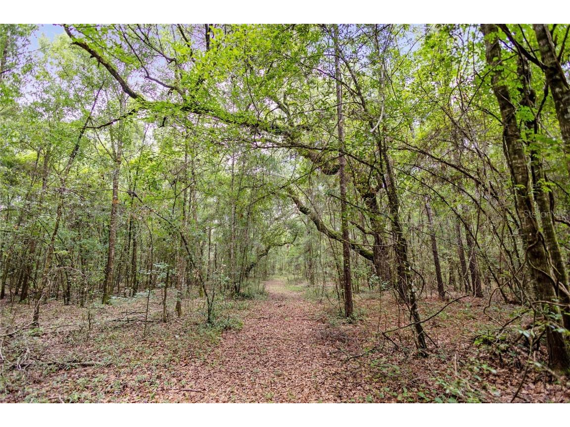 8530 NE 160th Avenue Williston FL 32696 OM705300 image41