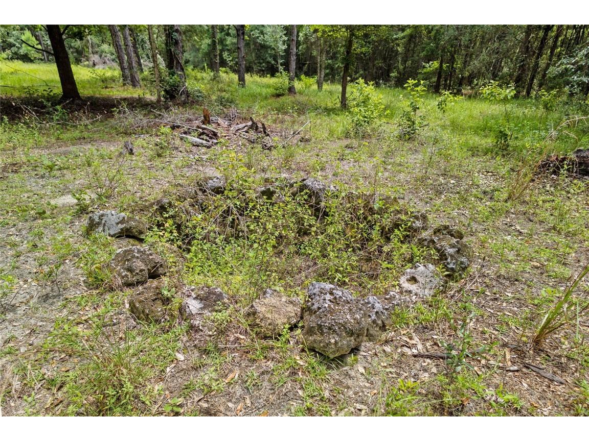 8530 NE 160th Avenue Williston FL 32696 OM705300 image44