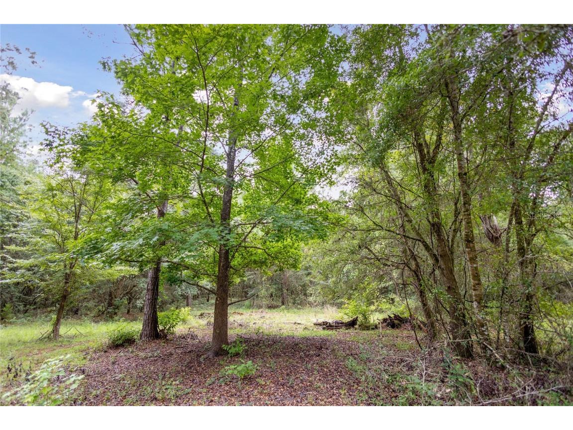 8530 NE 160th Avenue Williston FL 32696 OM705300 image45