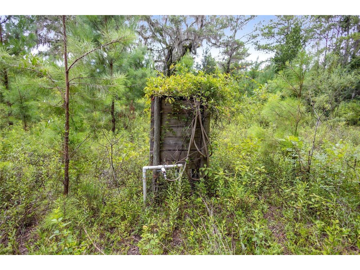 8530 NE 160th Avenue Williston FL 32696 OM705300 image46