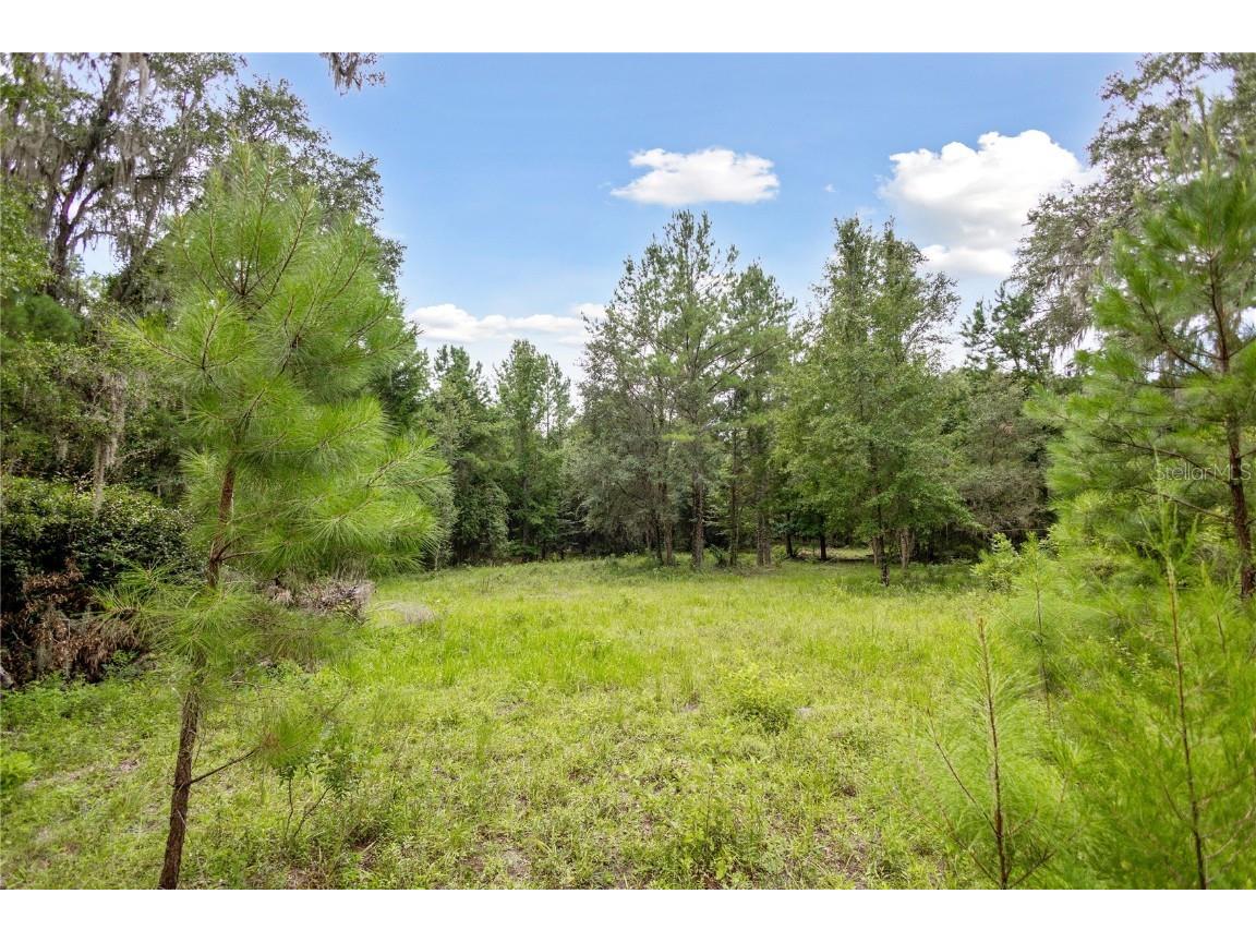 8530 NE 160th Avenue Williston FL 32696 OM705300 image47