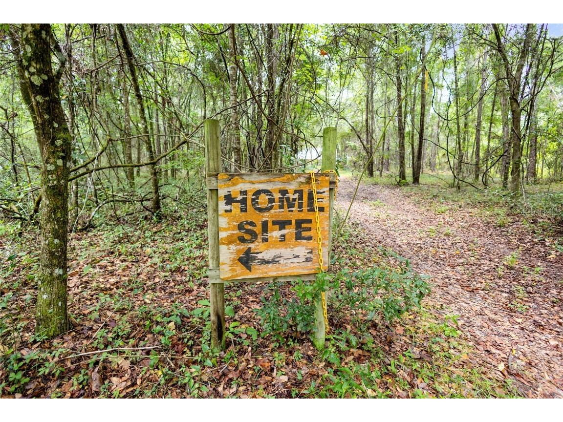 8530 NE 160th Avenue Williston FL 32696 OM705300 image48