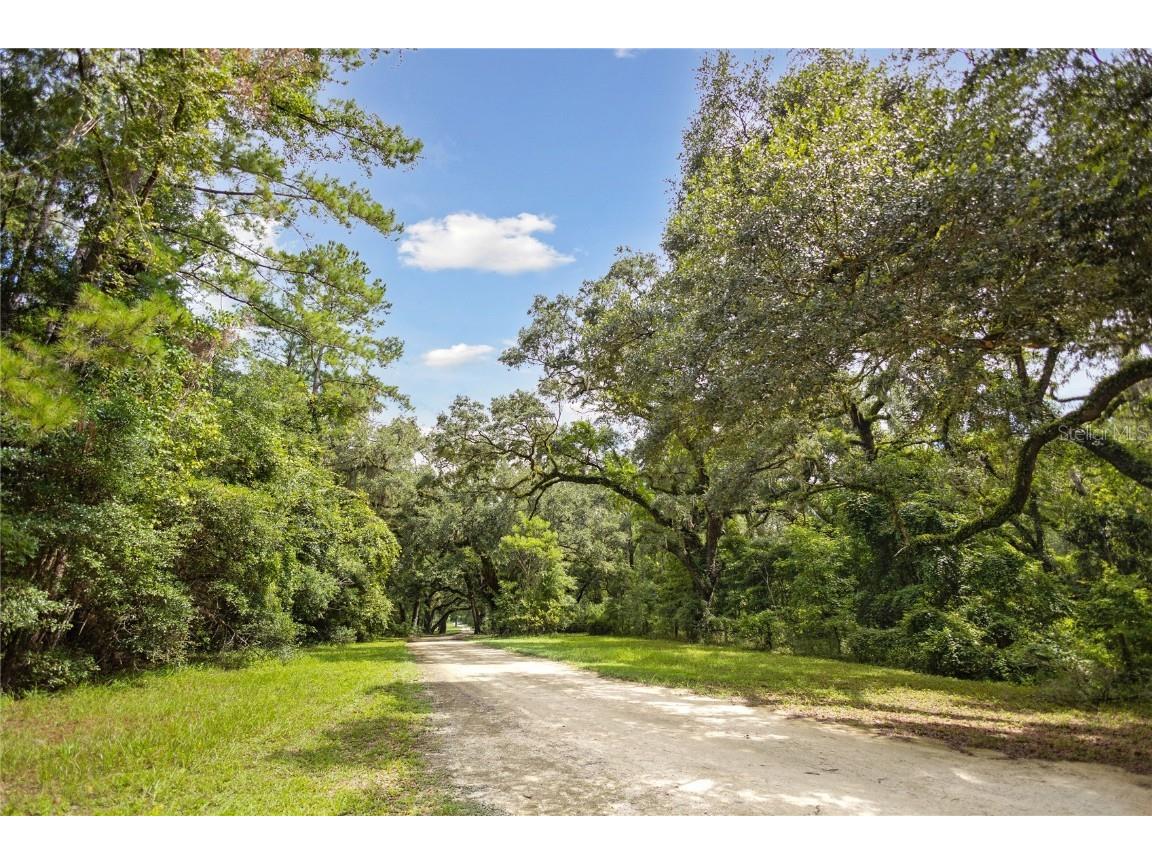 8530 NE 160th Avenue Williston FL 32696 OM705300 image52