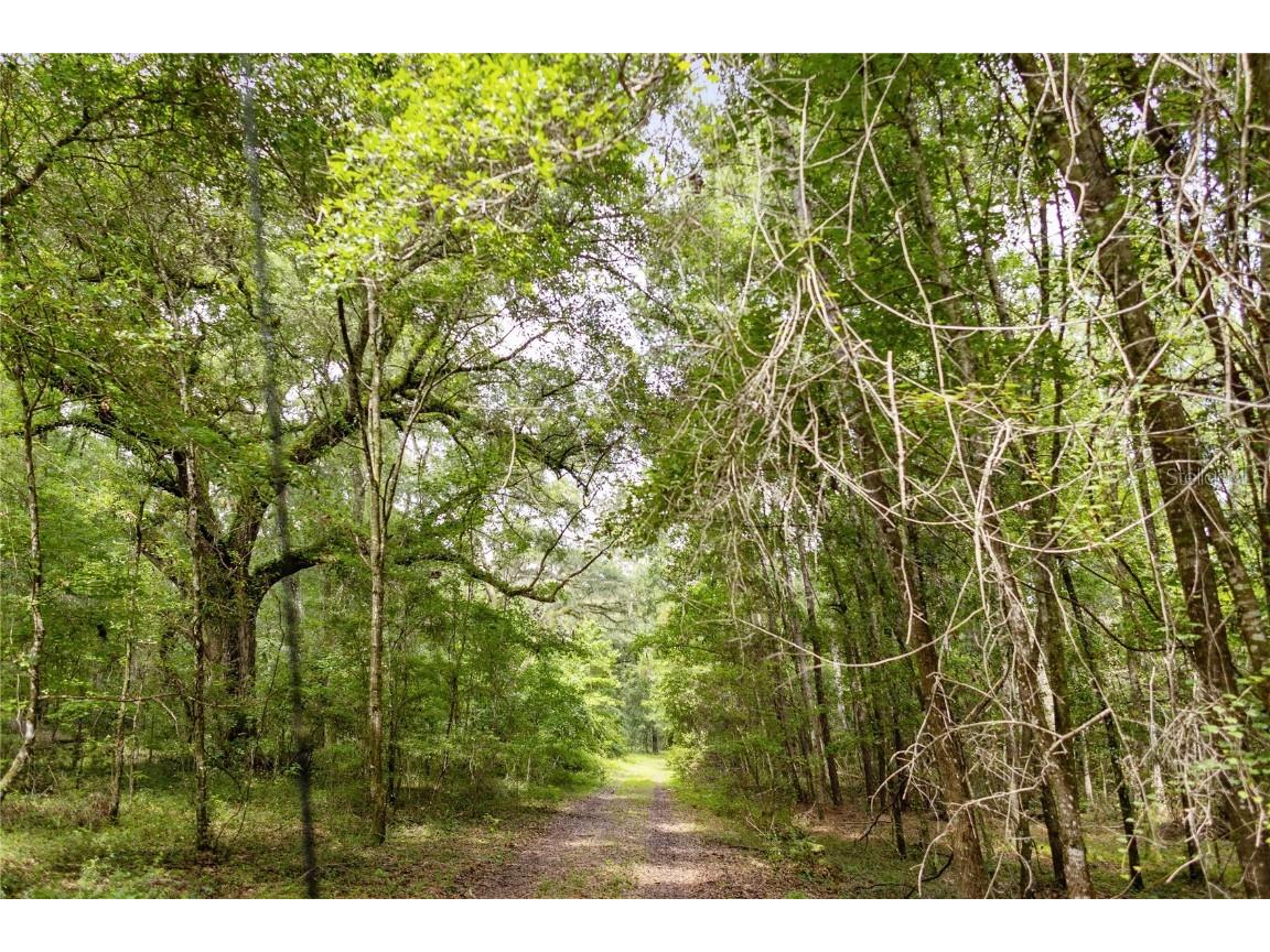 8530 NE 160th Avenue Williston FL 32696 OM705300 image53