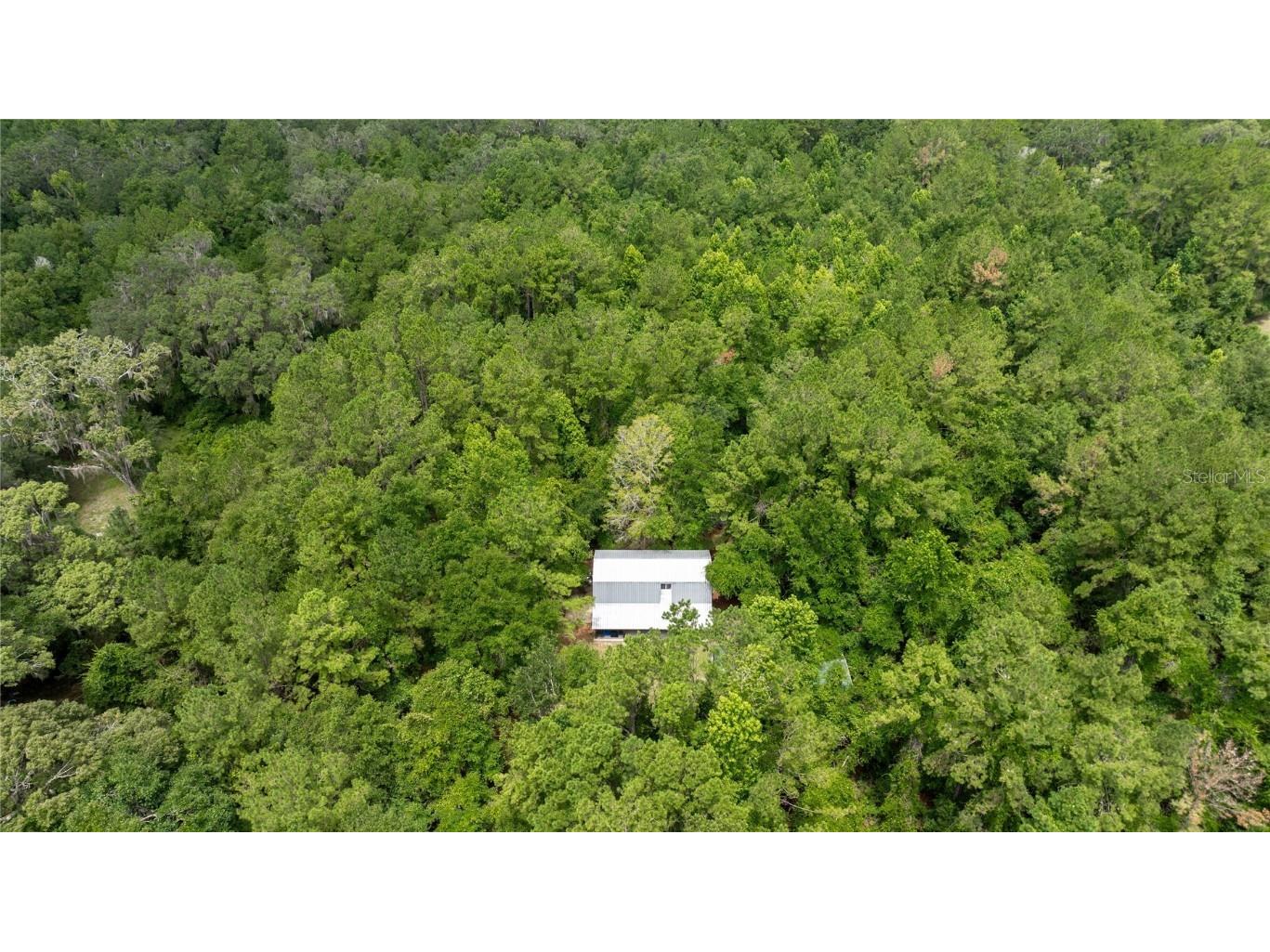 8530 NE 160th Avenue Williston FL 32696 OM705300 image60