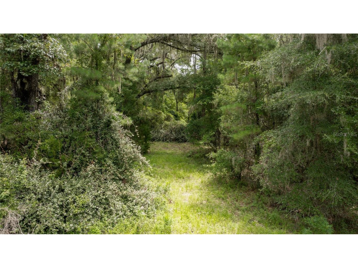 8530 NE 160th Avenue Williston FL 32696 OM705300 image61