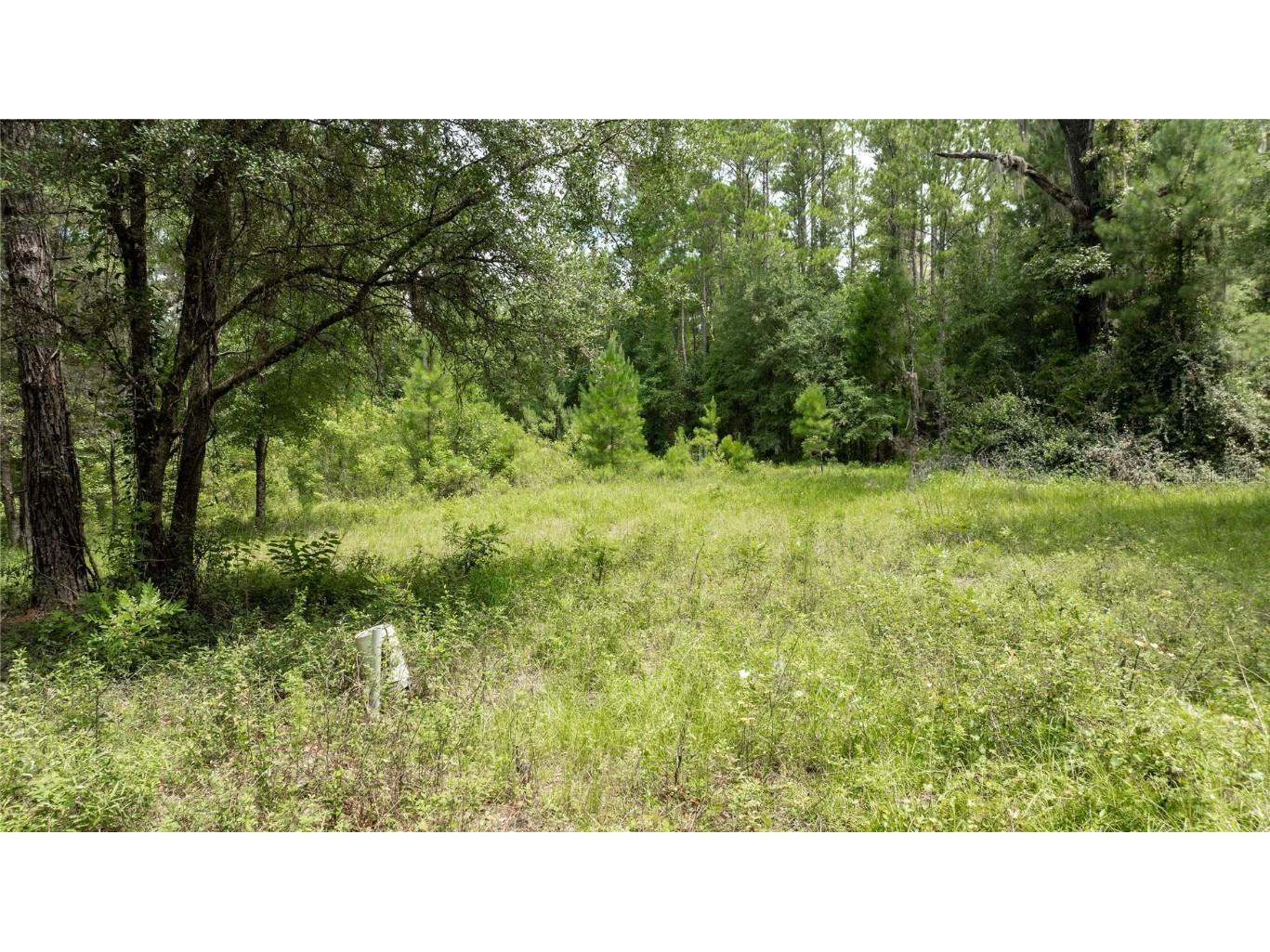 8530 NE 160th Avenue Williston FL 32696 OM705300 image62