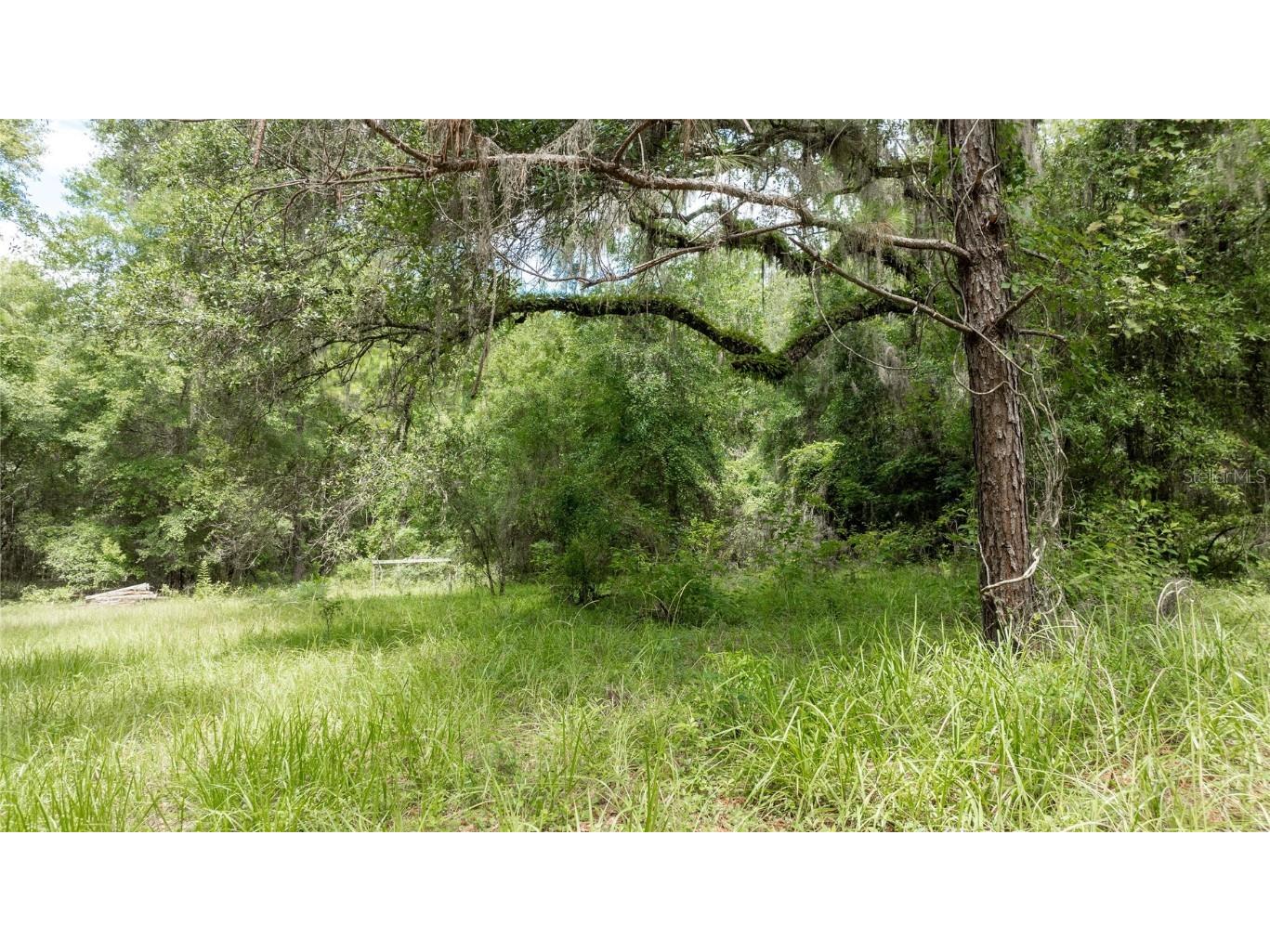 8530 NE 160th Avenue Williston FL 32696 OM705300 image63