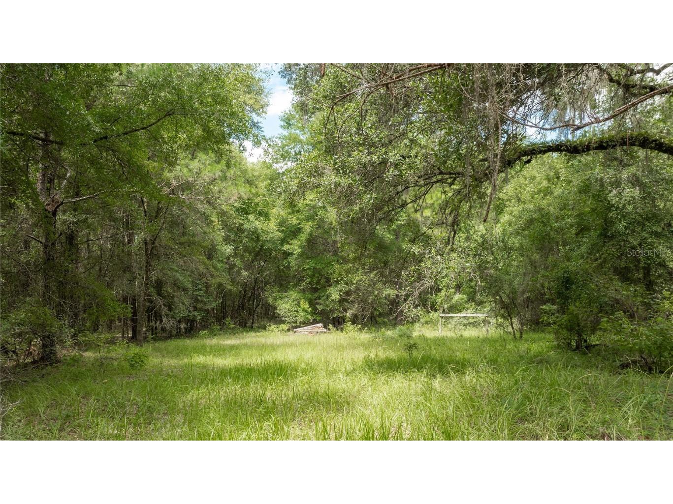 8530 NE 160th Avenue Williston FL 32696 OM705300 image64