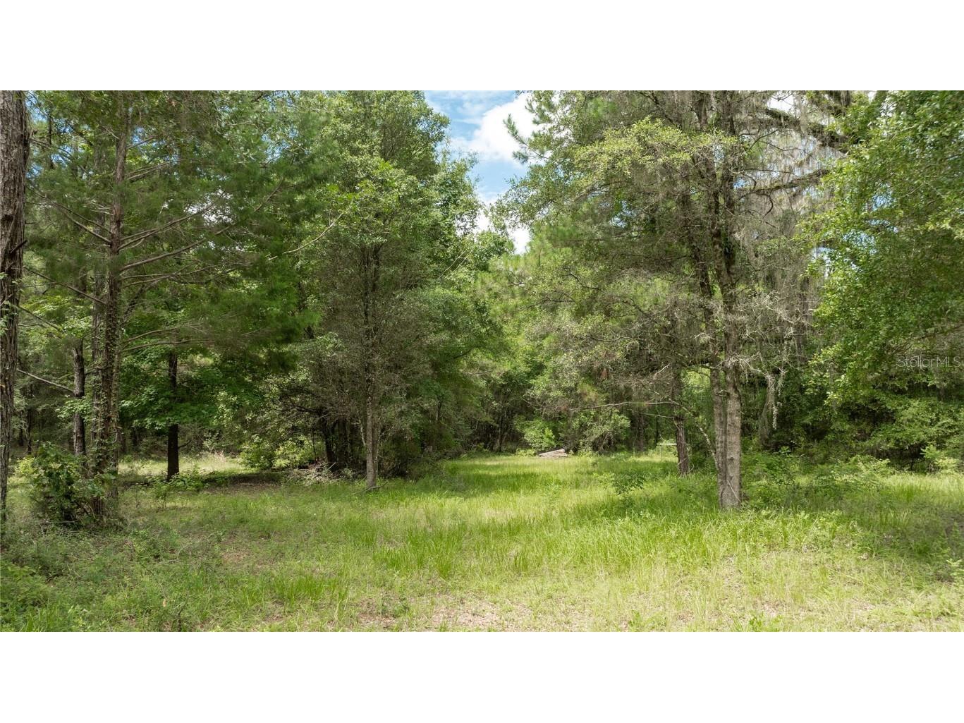 8530 NE 160th Avenue Williston FL 32696 OM705300 image65