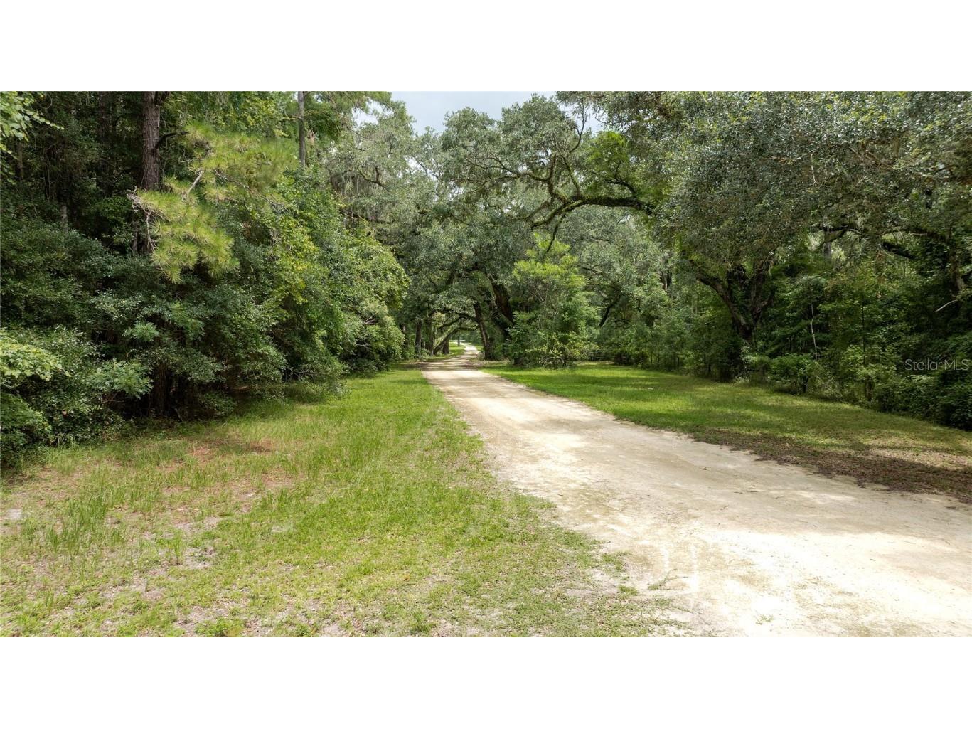 8530 NE 160th Avenue Williston FL 32696 OM705300 image69