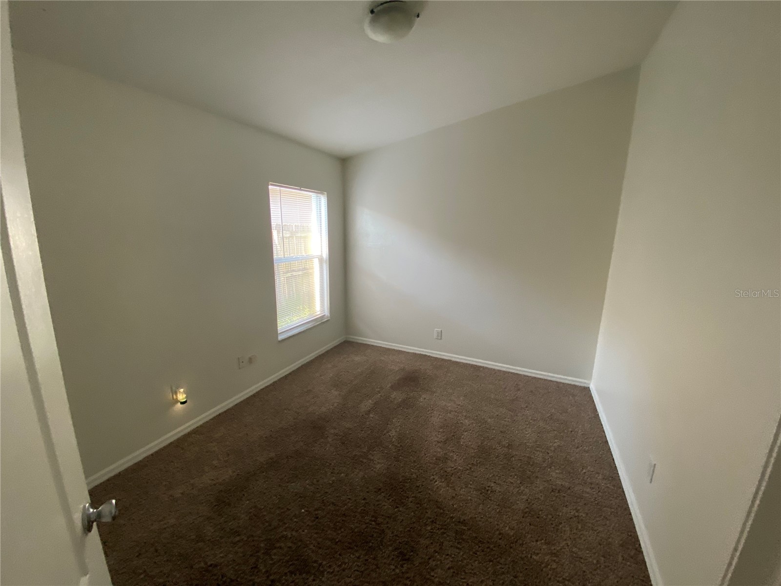 8530 Quarter Horse Drive Riverview FL 33578 TB8506806 image11