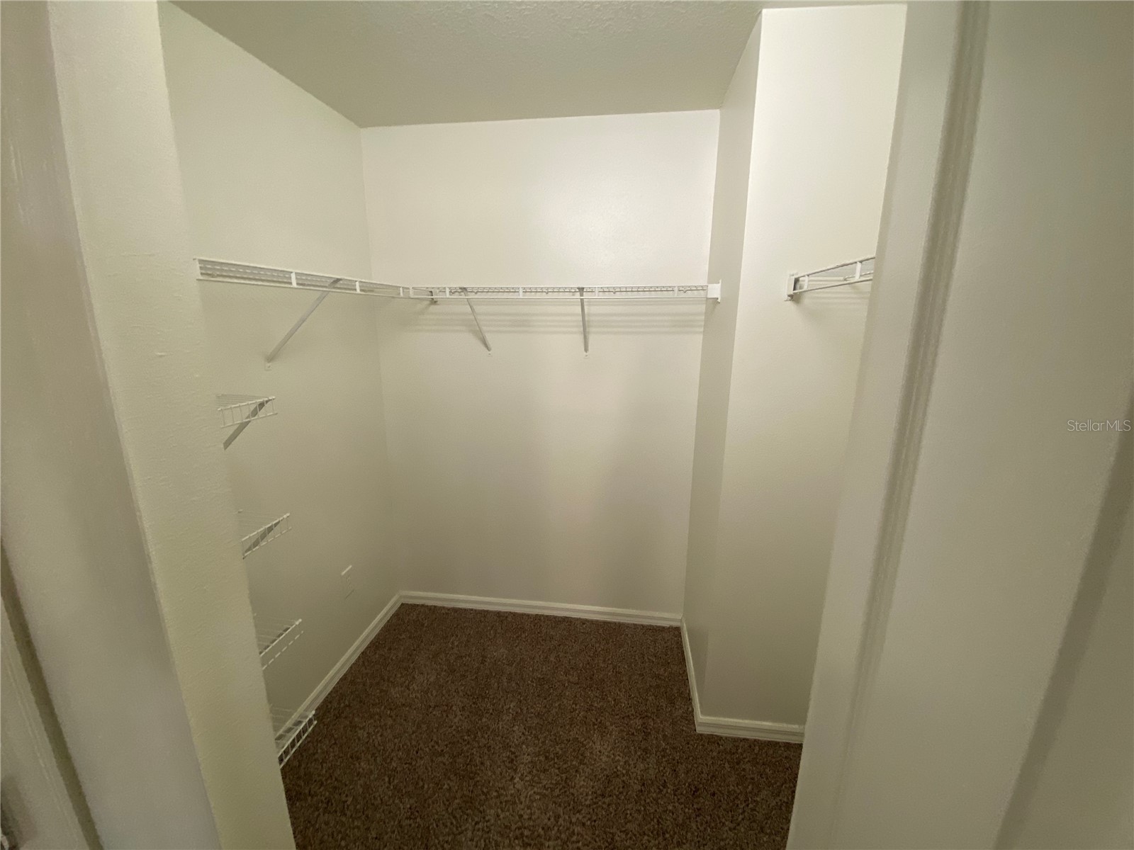 8530 Quarter Horse Drive Riverview FL 33578 TB8506806 image12