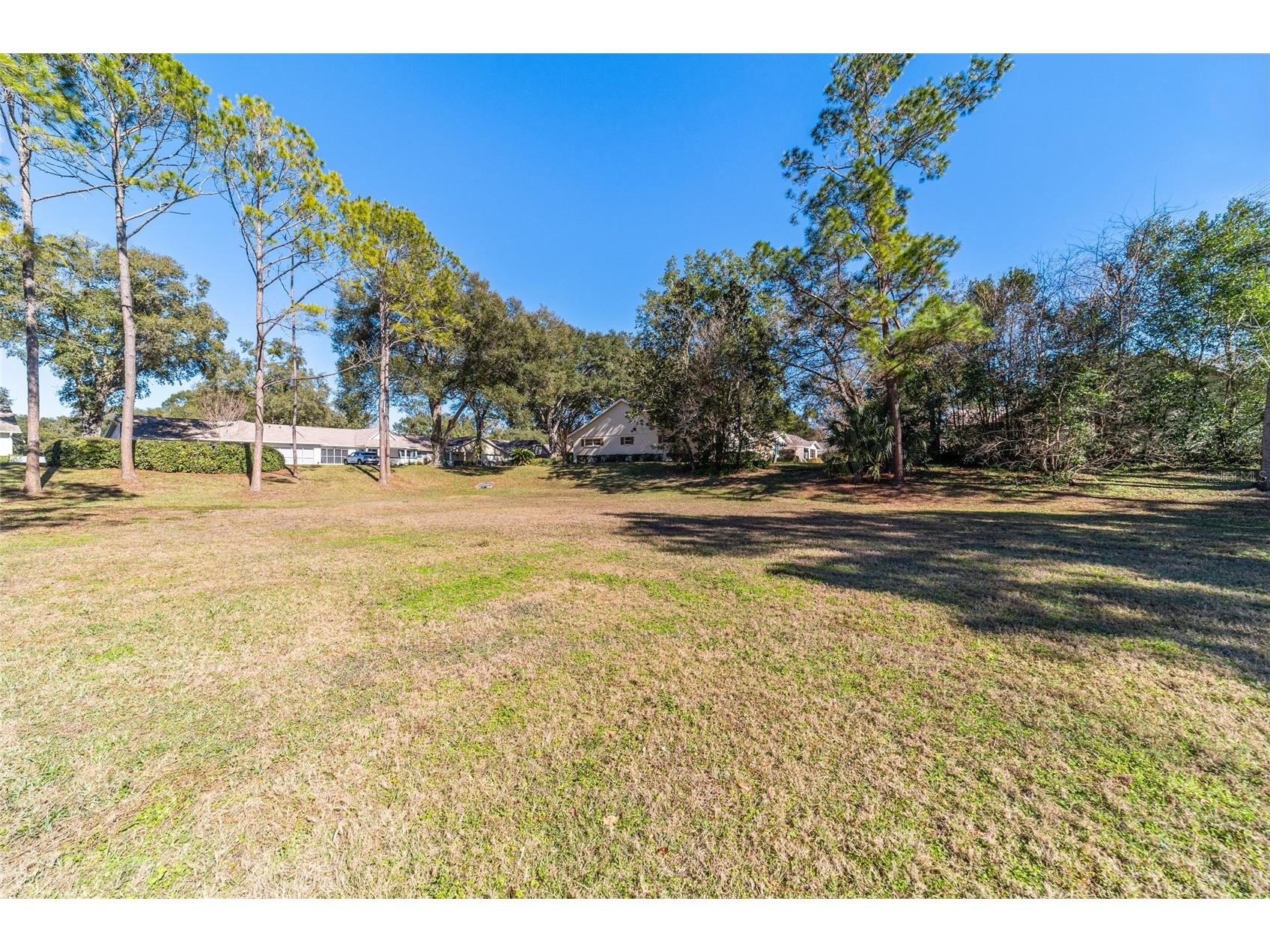 8530 SW 92nd Street #D Ocala FL 34481 OM716725 image31