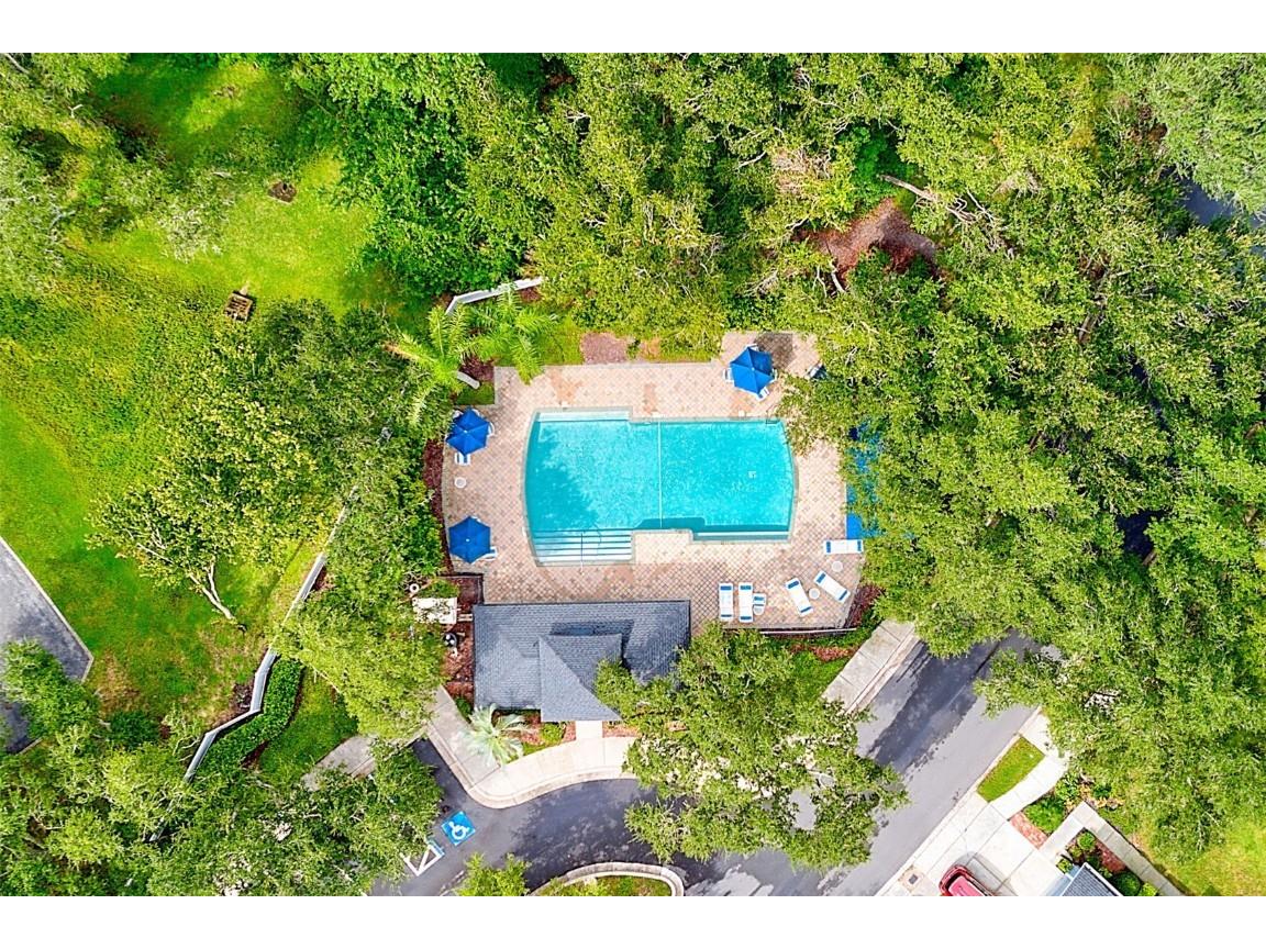 8531 Acorn Ridge Court Tampa FL 33625 TB8421162 image43