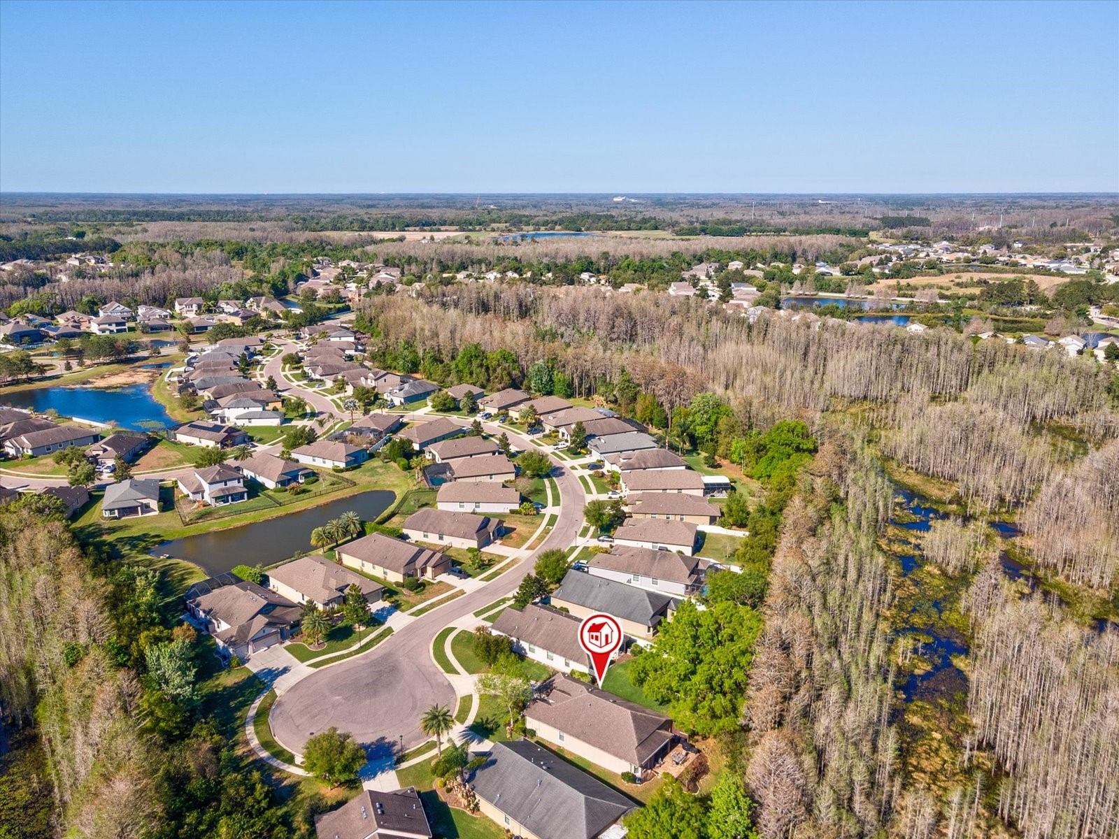 8531 May Port Court Land O Lakes FL 34638 TB8489350 image41